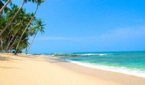 Nilaveli beach