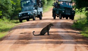 Yala National Park