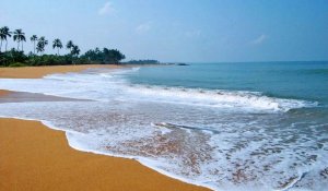 Colombo