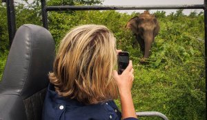  Yala Safari Trails