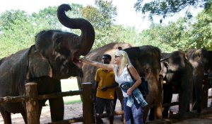 Pinnawala Elephant Orphanage