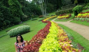 Royal Botanical Garden