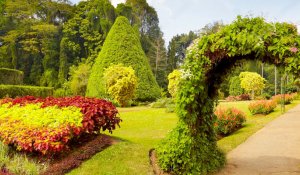 botanical garden