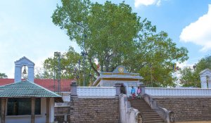 Anuradhapura